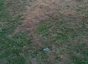 Satılır 12 sot torpaq Nardaran