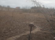 Satılır 4 otaqlı 110 m2 bağ evi Zirə