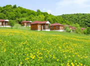 Satılır 10 otaqlı 300 m2 obyekt İsmayıllı