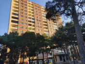 Satılır 2 otaqlı 110 m2 yeni tikili 1 mkr