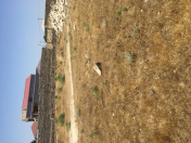 Satılır 8 sot torpaq Türkan