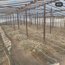 Satılır 25 sot torpaq Nardaran