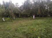 Satılır 15 sot torpaq Qusar