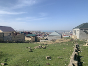 Satılır 3.9 sot torpaq Hökməli