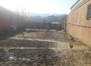 Satılır 4 otaqlı 112 m2 həyət evi Xocəsən