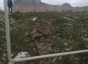 Satılır 4 sot torpaq Y.Suraxanı