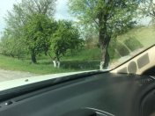 Satılır 35 sot torpaq Şamaxı