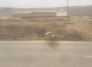 Satılır 8 sot torpaq Qobu