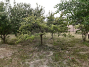 Satılır 20 sot torpaq Ağdaş