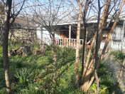 Satılır 11 sot torpaq Biləcəri