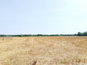 Satılır 285 sot torpaq Xudat