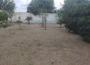 Satılır 4 otaqlı 75 m2 həyət evi Xaçmaz