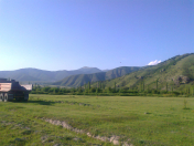 Satılır 12 sot torpaq Şəki