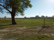 Satılır 5 sot torpaq Xudat