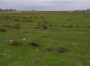 Satılır 10 sot torpaq Məhəmmədli