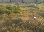 Satılır 3 sot torpaq Mehdiabad