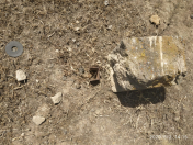 Satılır 10 sot torpaq Güzdək