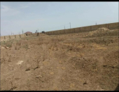 Satılır 12 sot torpaq Ələt