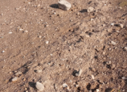 Satılır 30 sot torpaq Türkan