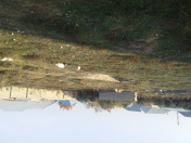 Satılır 5 sot torpaq Gəncə