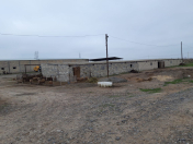 Satılır 6000 sot torpaq İmişli