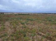 Satılır 6 sot torpaq Sumqayıt