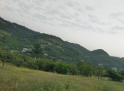 Satılır 12 sot torpaq Quba