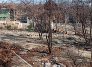 Satılır 0.6 sot torpaq Mingəçevir