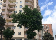 Satılır 4 otaqlı 147 m2 yeni tikili Xırdalan