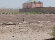 Satılır 15 sot torpaq Türkan