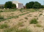 Satılır 437 sot torpaq Hövsan