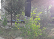 Satılır 1 otaqlı 40 m2 həyət evi Gəncə