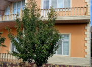 Satılır 8 otaqlı 500 m2 bağ evi Xudat