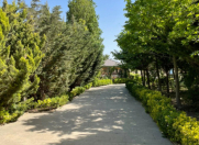 İcarəyə verilir 8 otaqlı 900 m2 bağ evi Novxanı