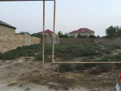 Satılır 8 sot torpaq Xaşaxuna