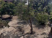 Satılır 5 otaqlı 12000 m2 bağ evi Sumqayıt