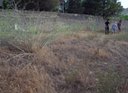 Satılır 126 sot torpaq Masazır