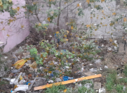 Satılır 72 sot torpaq Binəqədi