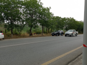 Satılır 90 sot torpaq Şamaxı