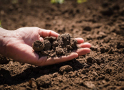 Satılır 6 sot torpaq Masazır