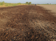 Satılır 950 sot torpaq Yevlax