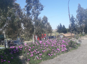 Satılır 3 otaqlı 200 m2 obyekt Ələt