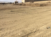 Satılır 80 sot torpaq Müşfiqabad