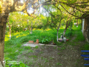 Satılır 4 otaqlı 10.5 m2 bağ evi Qusar