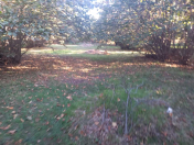 Satılır 42 sot torpaq Oğuz