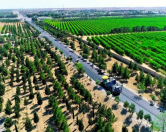 Satılır 6 sot torpaq Qala