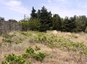 Satılır 10 sot torpaq Novxanı