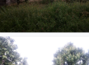 Satılır 4 otaqlı 130 m2 bağ evi Qusar