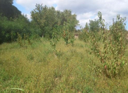 Satılır 200 sot torpaq Xudat