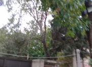 Satılır 6 otaqlı 2.5 m2 həyət evi Sumqayıt